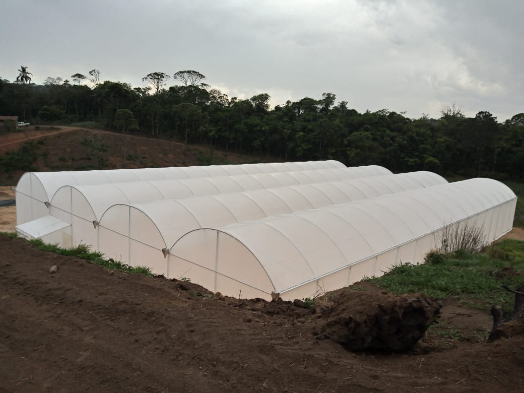 WhatsApp Image 2020-10-29 at 22.34.29 (1).jpeg