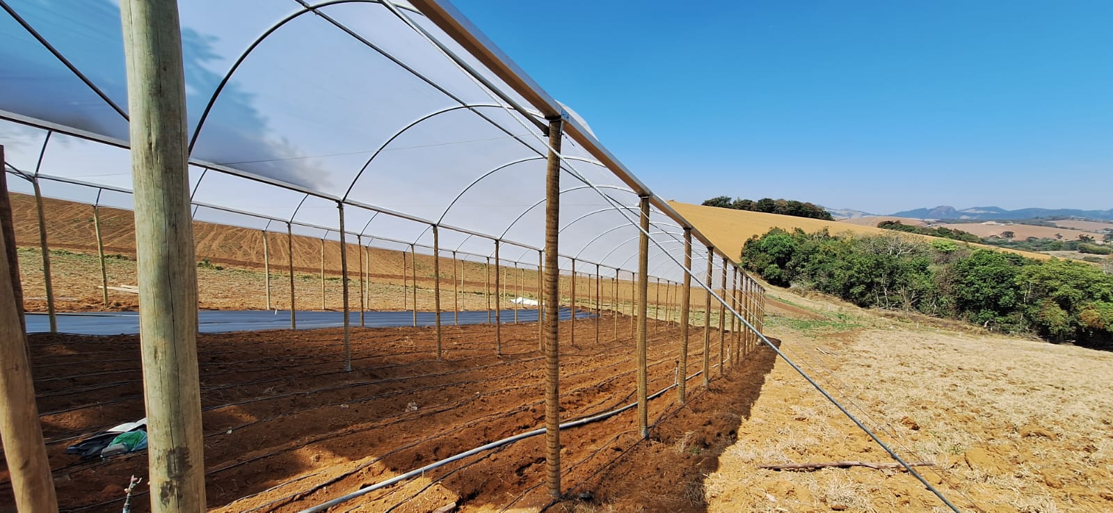 WhatsApp Image 2024-09-03 at 16.07.27 (1).jpeg