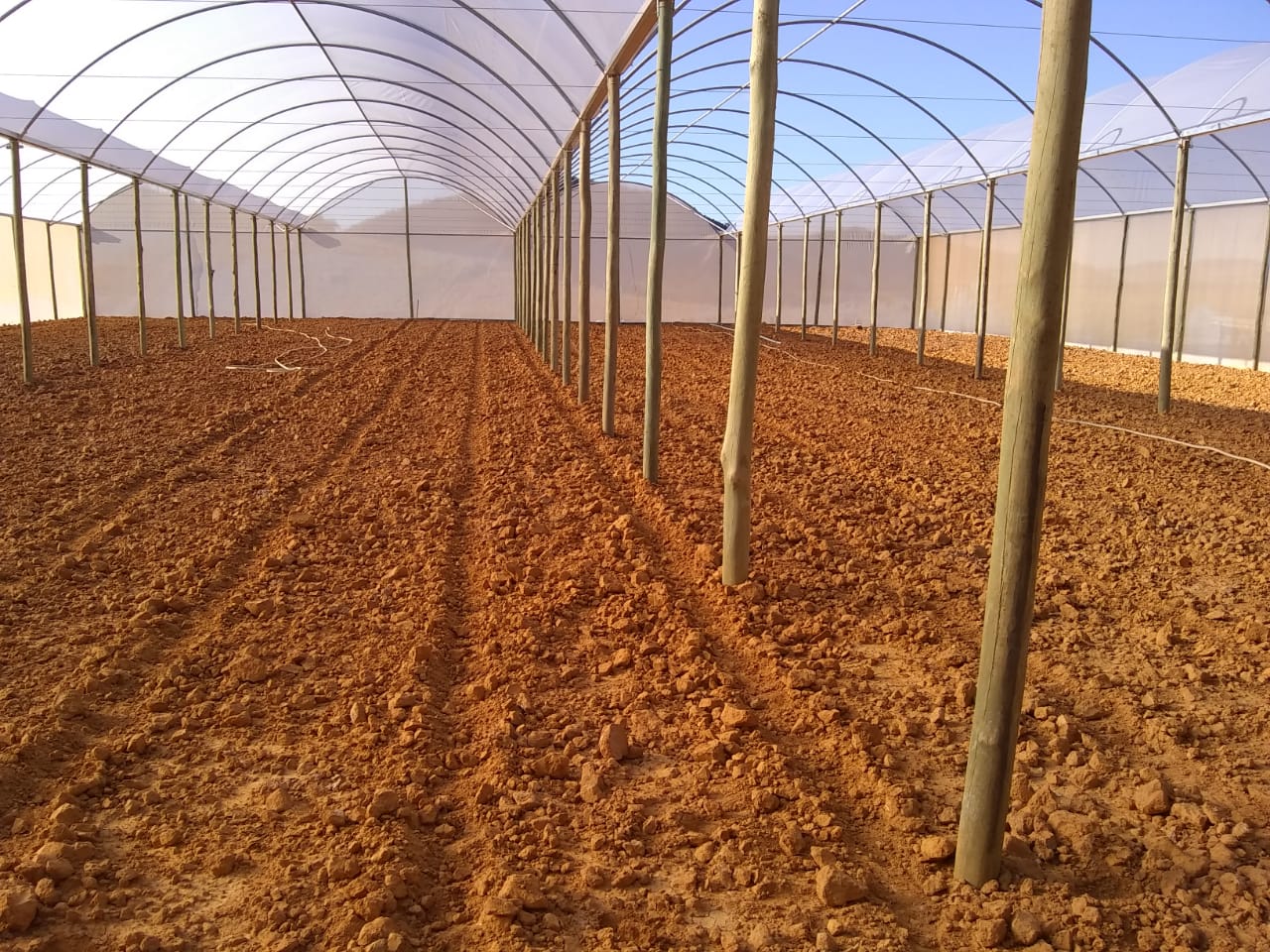 WhatsApp Image 2020-07-24 at 08.45.46 (1).jpeg