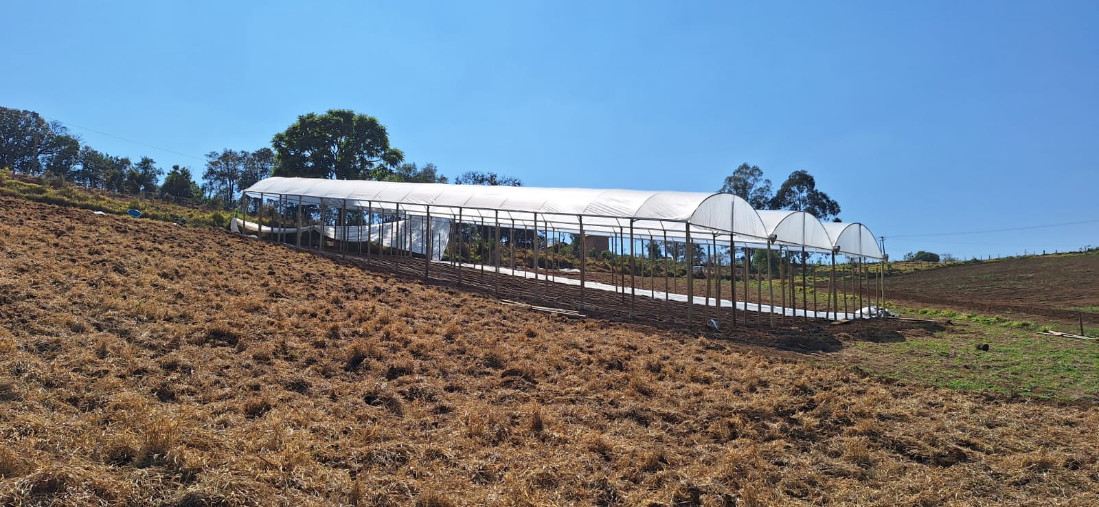 WhatsApp Image 2024-09-03 at 16.07.29 (1).jpeg