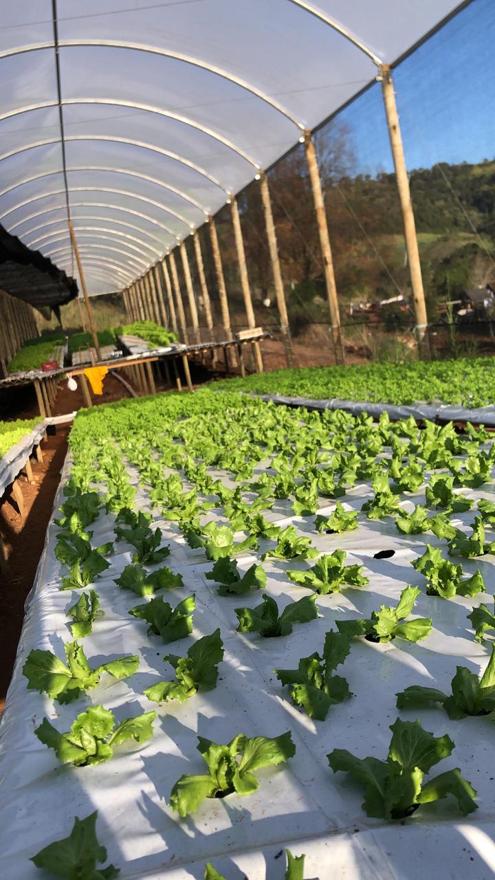 WhatsApp Image 2023-06-27 at 17.50.50 (1).jpeg