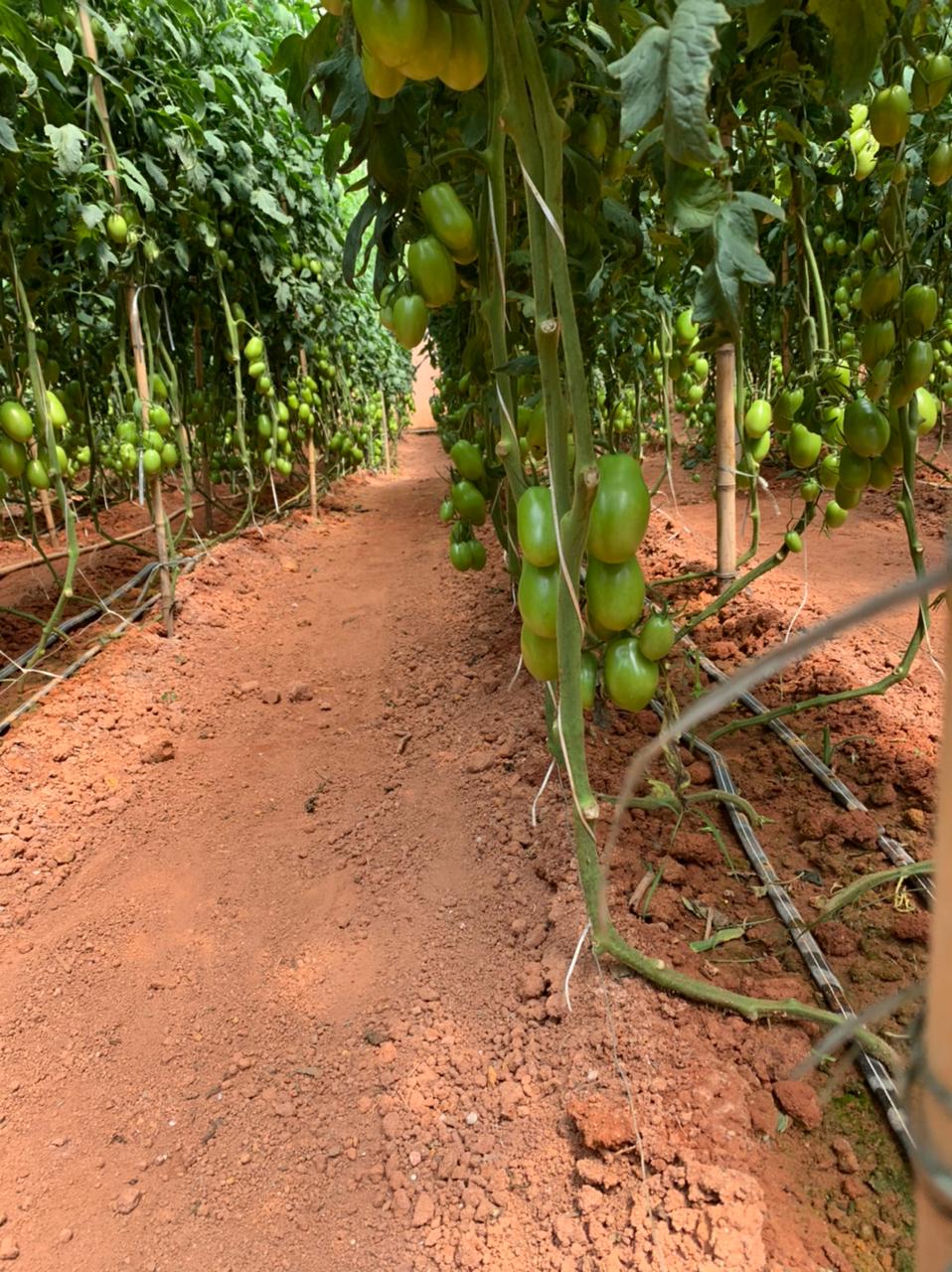 WhatsApp Image 2021-03-21 at 14.35.44 (1).jpeg