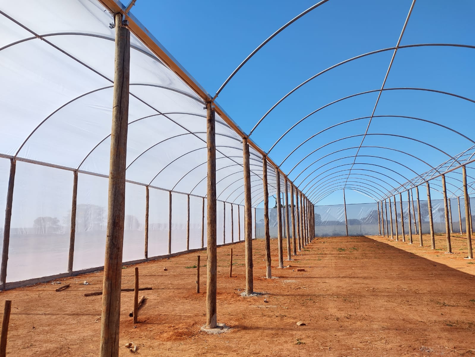 Parte aérea galvanizada (1).jpeg