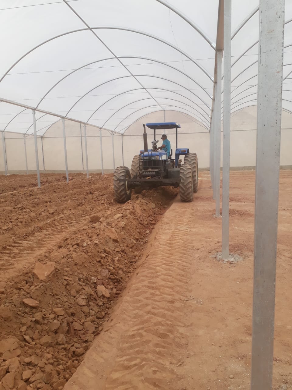 WhatsApp Image 2020-08-06 at 20.28.57.jpeg