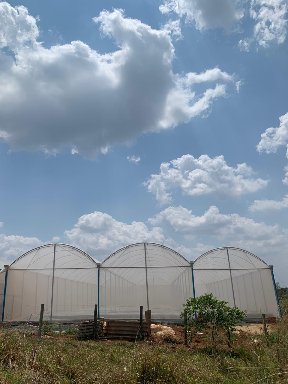 WhatsApp Image 2020-10-14 at 23.04.07.jpeg