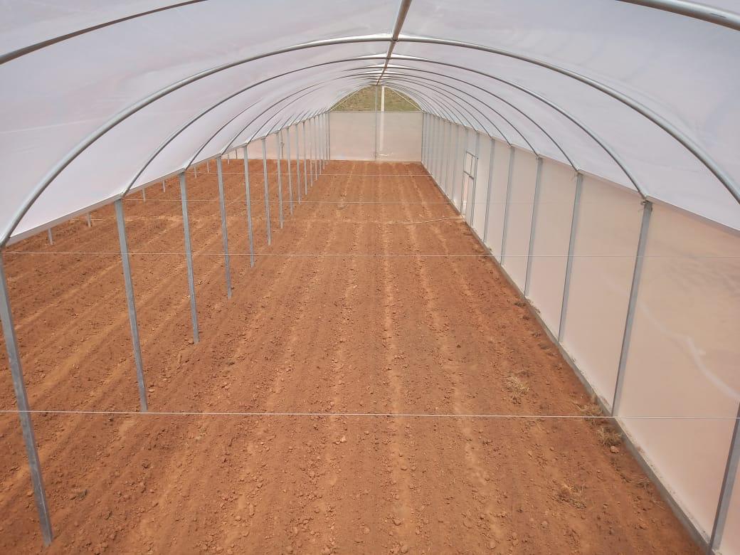 WhatsApp Image 2020-09-28 at 21.38.15.jpeg