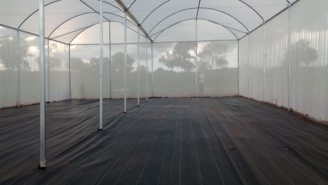 WhatsApp Image 2024-02-08 at 20.03.36.jpeg