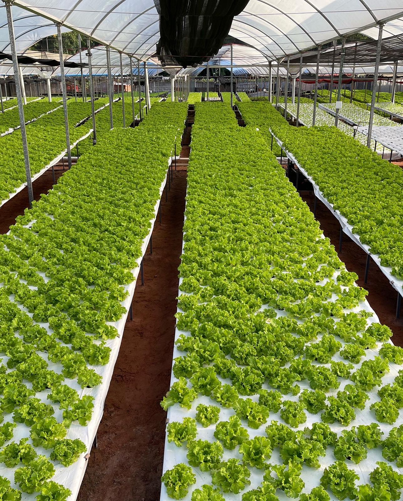 WhatsApp Image 2023-02-02 at 15.55.25 (1).jpeg