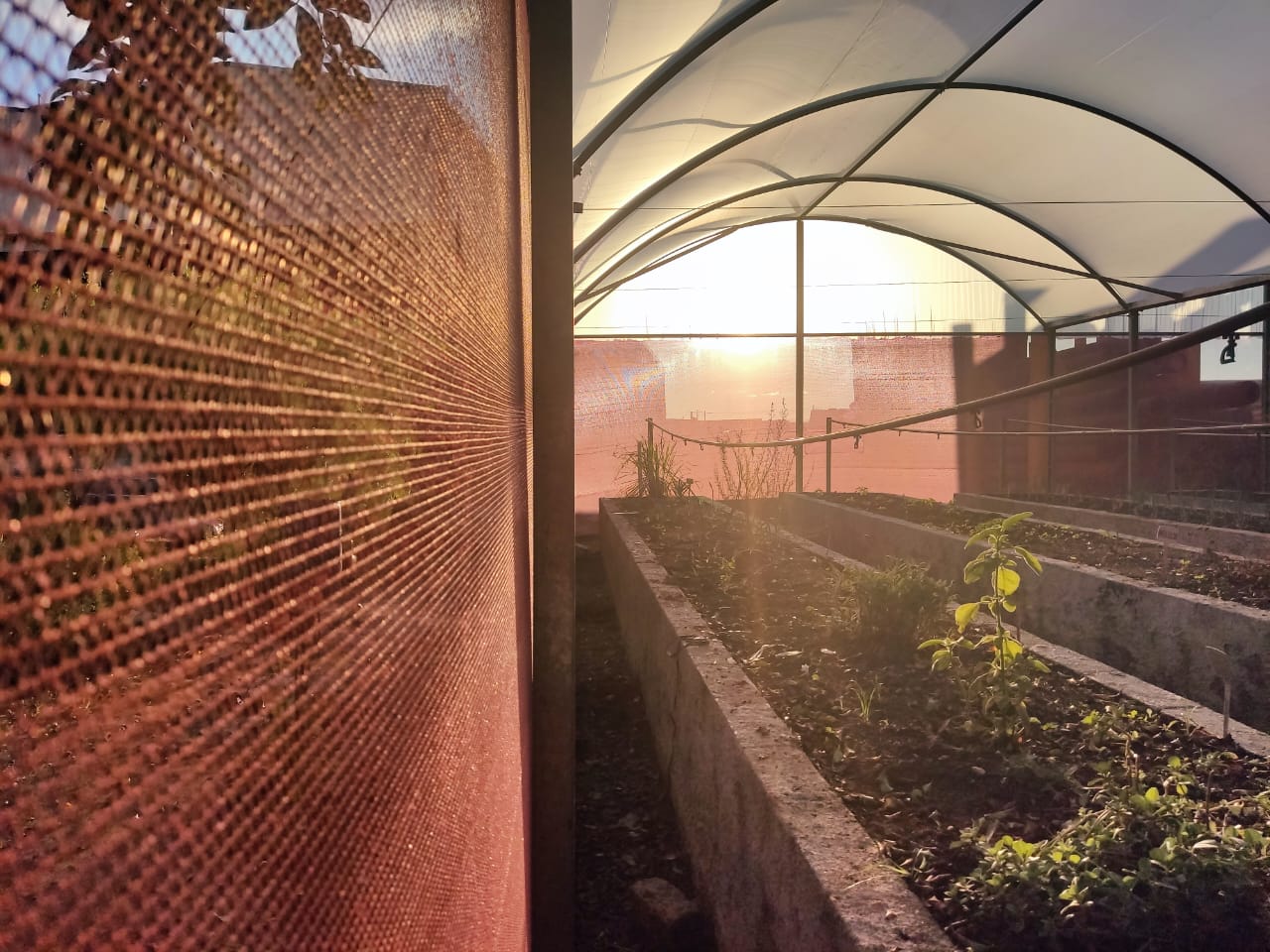 WhatsApp Image 2023-04-04 at 07.53.55.jpeg