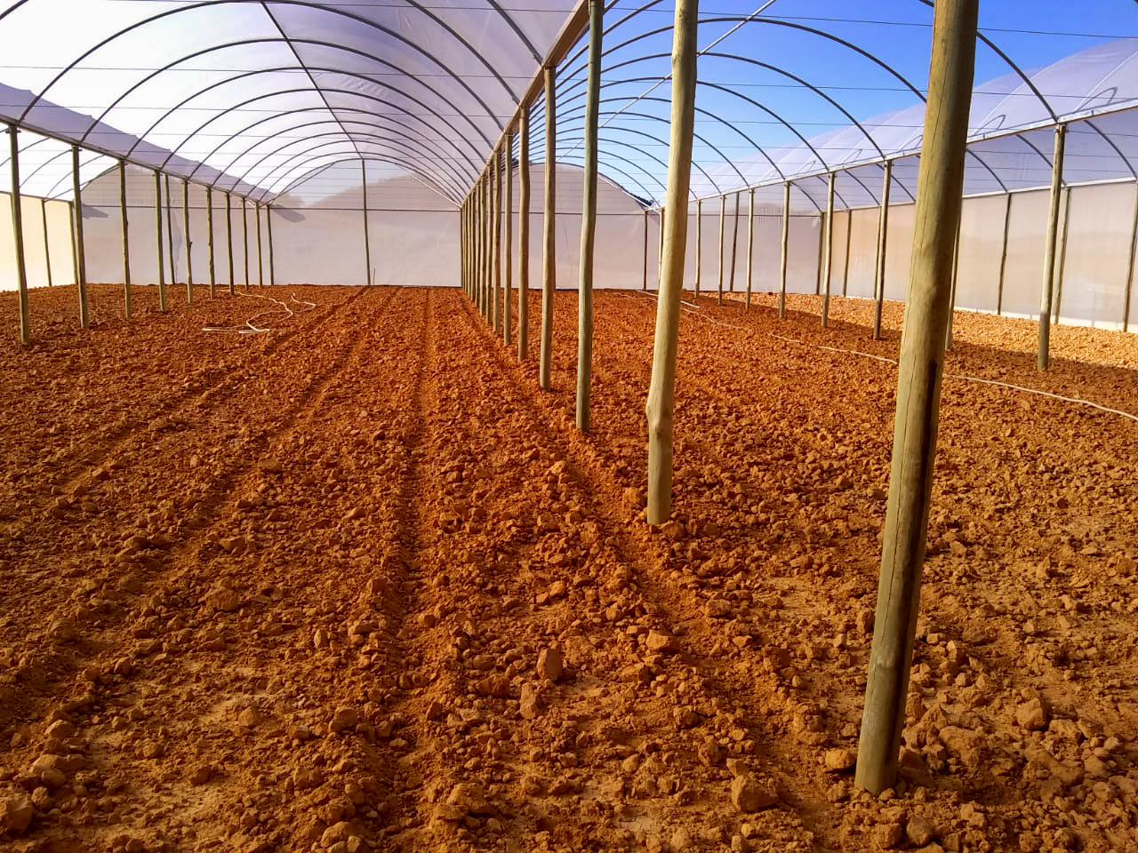 WhatsApp Image 2021-10-11 at 11.17.17.jpeg