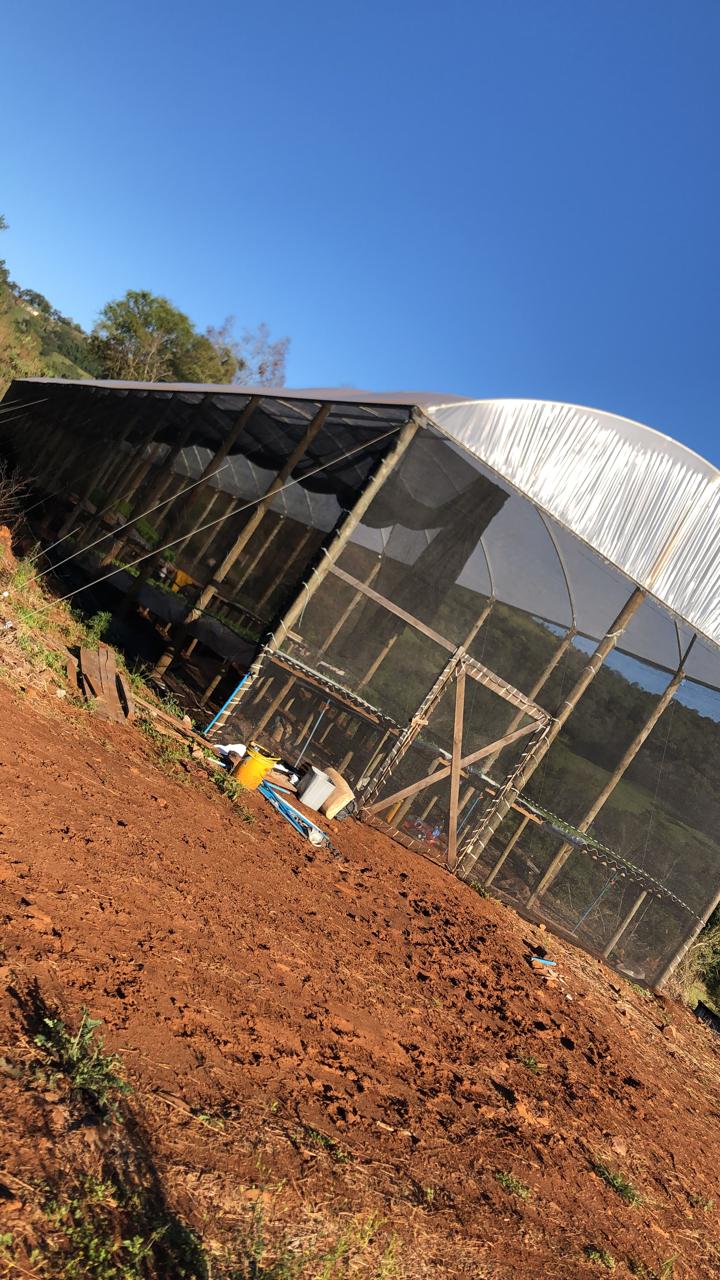 WhatsApp Image 2023-06-27 at 17.50.50.jpeg