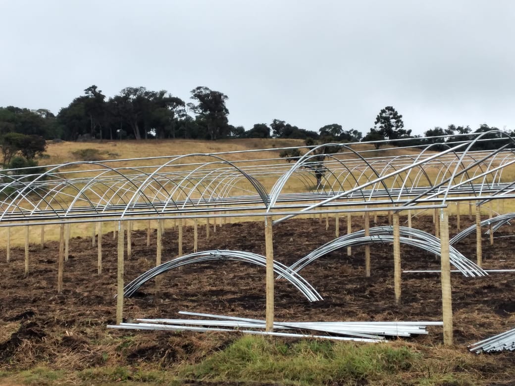 WhatsApp Image 2022-05-31 at 11.14.50.jpeg