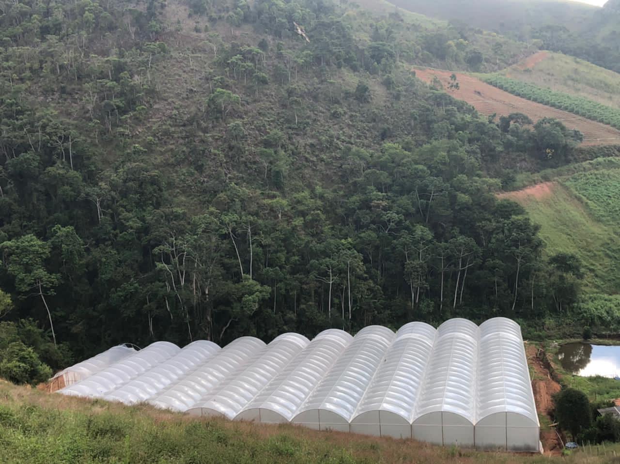 WhatsApp Image 2021-03-24 at 15.59.40.jpeg